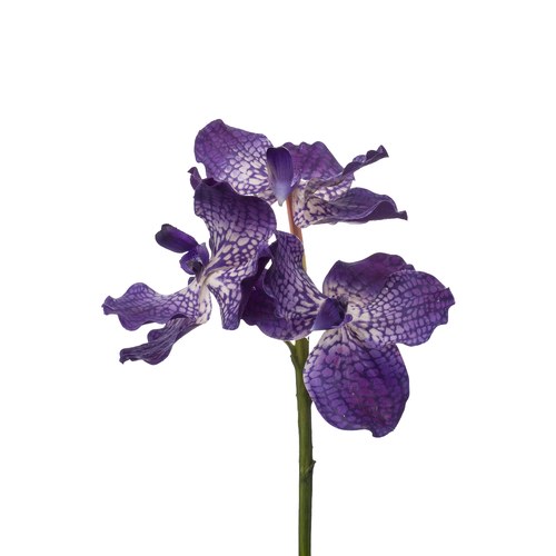 荷蘭Emerald人造花藝 紫色萬代蘭