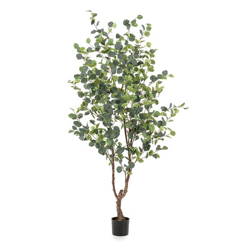 荷蘭Emerald人造植栽 尤加利樹(180公分)