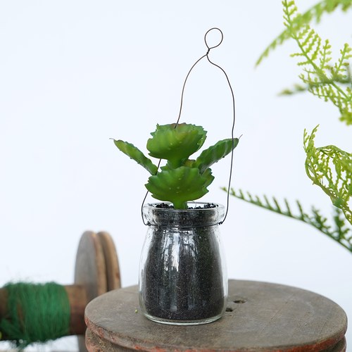 荷蘭 Emerald人造植物 千兔耳多肉盆栽 (玻璃罐)