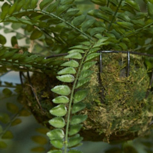 荷蘭Emerald人造植栽 垂墜羊齒蕨 (吊掛、95公分)
