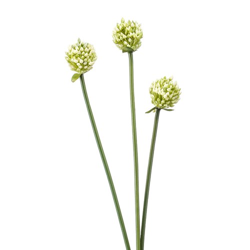 荷蘭Emerald人造花藝 洋蔥花 (白、66公分)