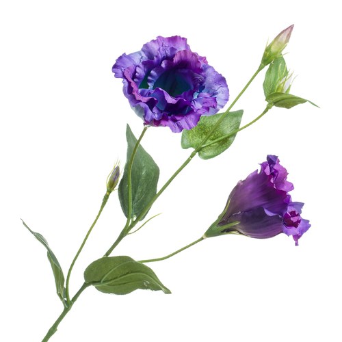 荷蘭Emerald人造花藝 洋桔梗 (紫色、長60公分)