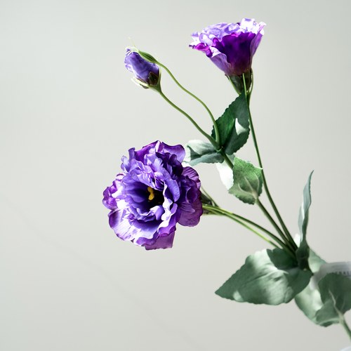 荷蘭Emerald人造花藝 洋桔梗 (紫色、長68公分)