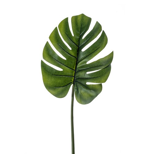 荷蘭Emerald人造植物 電信蘭綠植葉片 (長73公分)