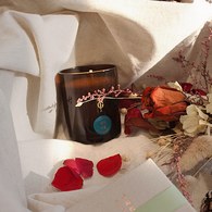 英國True Grace 伯靈頓實驗室 雪松與玫瑰經典蠟燭(N°92)