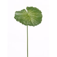 荷蘭Emerald人造植物 蓮花葉