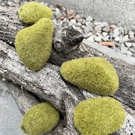 荷蘭Emerald人造植物 綠青苔蘚石