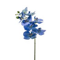 荷蘭Emerald人造花藝 藍色蝴蝶蘭