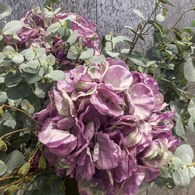 荷蘭Emerald人造花藝 紫色繡球花 (長85公分)