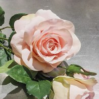 荷蘭Emerald人造花藝 粉色夏娃玫瑰