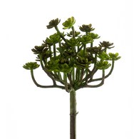 荷蘭 Emerald人造植物 石蓮花