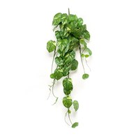 荷蘭Emerald人造植物黃金葛 (長135公分)