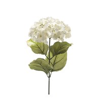 荷蘭Emerald人造花藝 奶油白繡球花 (長65公分)