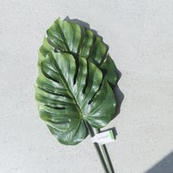 荷蘭Emerald人造植物 電信蘭綠植葉片 (長80公分)