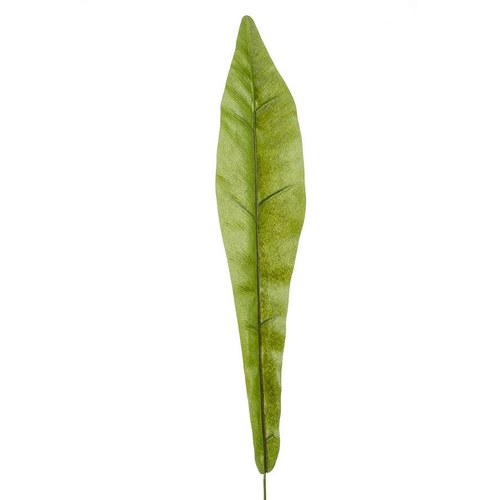 荷蘭Emerald人造植物 鐵角蕨綠葉片