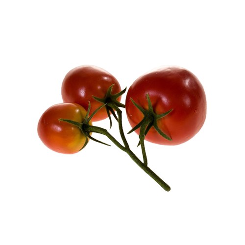 荷蘭Emerald人造植物 鮮紅色番茄果實