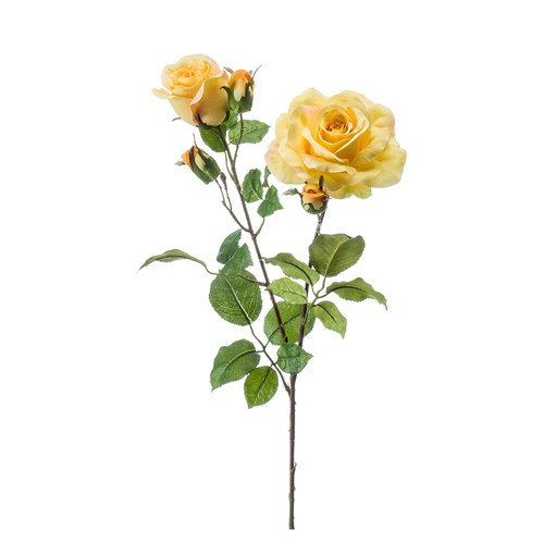 荷蘭Emerald人造花藝 黃色夏娃玫瑰
