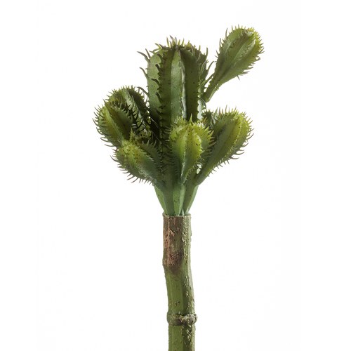 荷蘭 Emerald人造植物 仙人掌