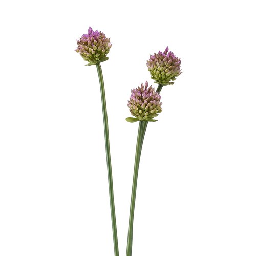 荷蘭Emerald人造花藝 洋蔥花 (紫、66公分)