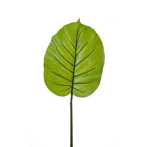 荷蘭Emerald人造植物 姑婆芋綠植葉片 (長73公分)