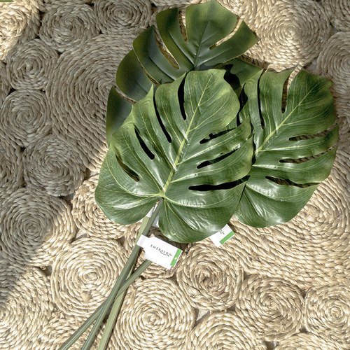 荷蘭Emerald人造植物 電信蘭綠植葉片 (長80公分)