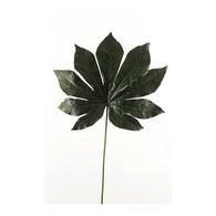荷蘭Emerald人造植物 八角金盤
