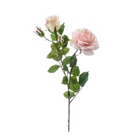 荷蘭Emerald人造花藝 粉色夏娃玫瑰