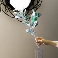 荷蘭 Emerald人造植物 銀葉菊