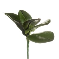 荷蘭Emerald人造植物 蝴蝶蘭葉 (長25公分)