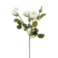 荷蘭Emerald人造花藝 白色玫瑰花 (長60公分)